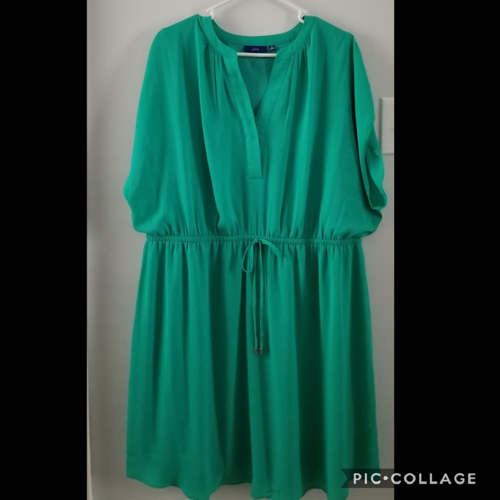 Apt. 9 2X chiffon dress